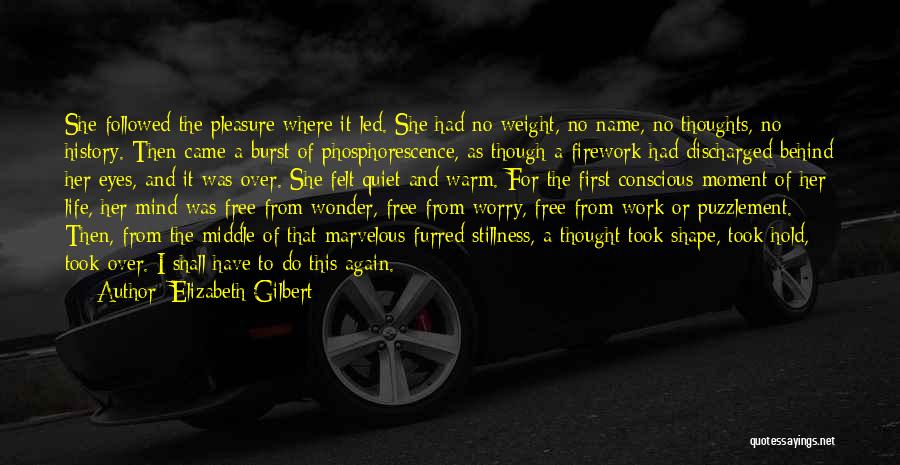 Elizabeth Gilbert Quotes: She Followed The Pleasure Where It Led. She Had No Weight, No Name, No Thoughts, No History. Then Came A