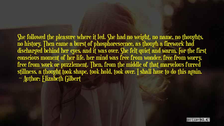 Elizabeth Gilbert Quotes: She Followed The Pleasure Where It Led. She Had No Weight, No Name, No Thoughts, No History. Then Came A