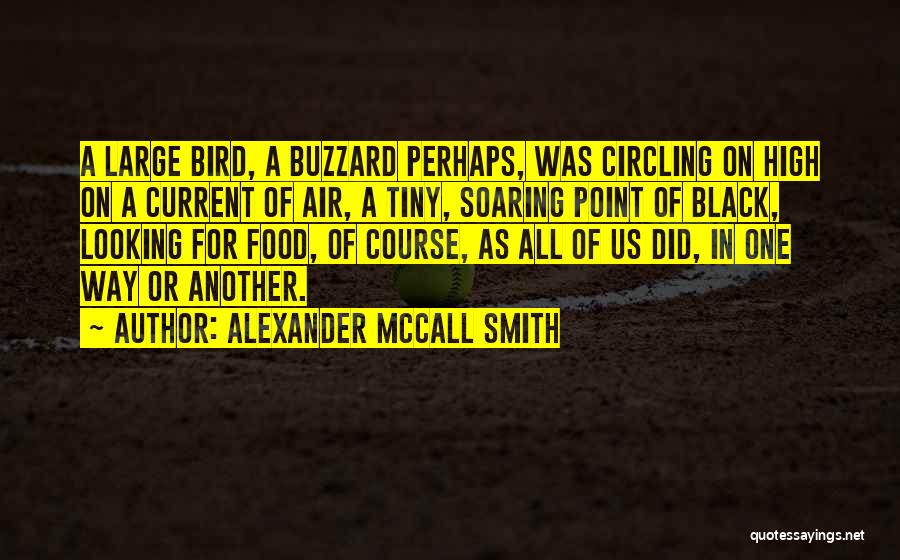 Alexander McCall Smith Quotes: A Large Bird, A Buzzard Perhaps, Was Circling On High On A Current Of Air, A Tiny, Soaring Point Of