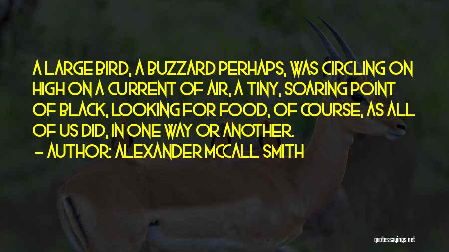 Alexander McCall Smith Quotes: A Large Bird, A Buzzard Perhaps, Was Circling On High On A Current Of Air, A Tiny, Soaring Point Of