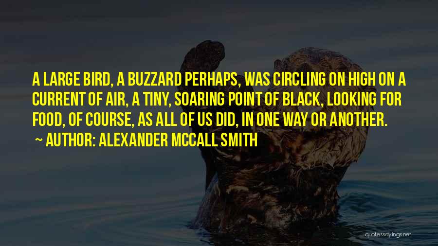 Alexander McCall Smith Quotes: A Large Bird, A Buzzard Perhaps, Was Circling On High On A Current Of Air, A Tiny, Soaring Point Of