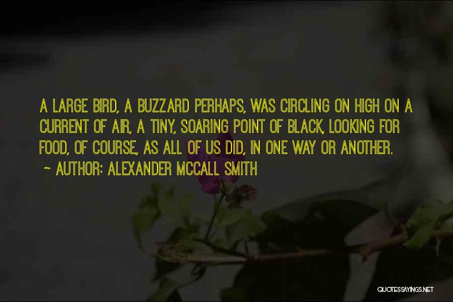 Alexander McCall Smith Quotes: A Large Bird, A Buzzard Perhaps, Was Circling On High On A Current Of Air, A Tiny, Soaring Point Of