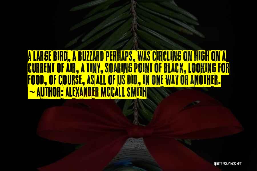 Alexander McCall Smith Quotes: A Large Bird, A Buzzard Perhaps, Was Circling On High On A Current Of Air, A Tiny, Soaring Point Of