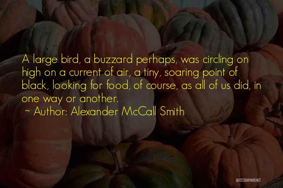 Alexander McCall Smith Quotes: A Large Bird, A Buzzard Perhaps, Was Circling On High On A Current Of Air, A Tiny, Soaring Point Of