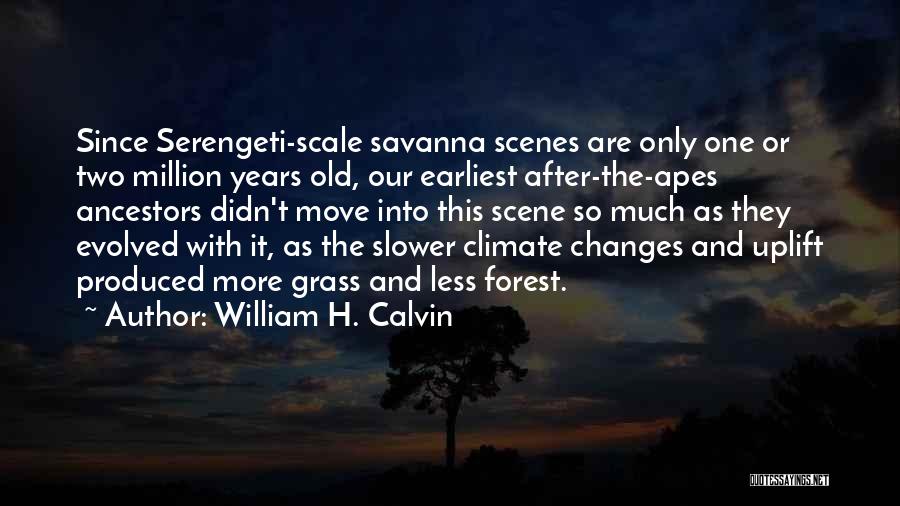 William H. Calvin Quotes: Since Serengeti-scale Savanna Scenes Are Only One Or Two Million Years Old, Our Earliest After-the-apes Ancestors Didn't Move Into This