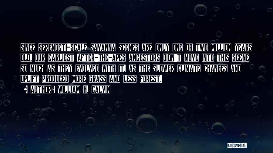 William H. Calvin Quotes: Since Serengeti-scale Savanna Scenes Are Only One Or Two Million Years Old, Our Earliest After-the-apes Ancestors Didn't Move Into This