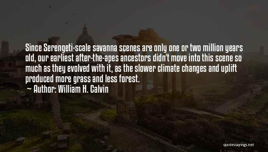 William H. Calvin Quotes: Since Serengeti-scale Savanna Scenes Are Only One Or Two Million Years Old, Our Earliest After-the-apes Ancestors Didn't Move Into This