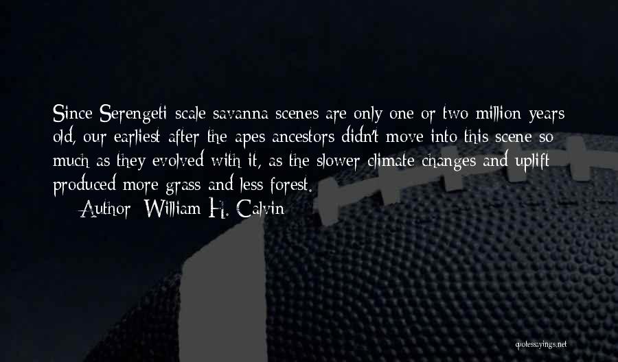 William H. Calvin Quotes: Since Serengeti-scale Savanna Scenes Are Only One Or Two Million Years Old, Our Earliest After-the-apes Ancestors Didn't Move Into This