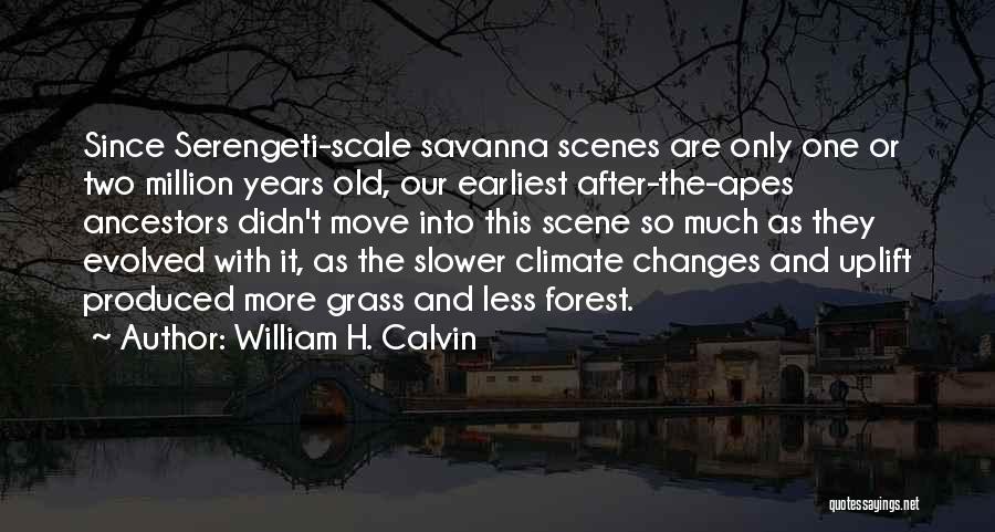 William H. Calvin Quotes: Since Serengeti-scale Savanna Scenes Are Only One Or Two Million Years Old, Our Earliest After-the-apes Ancestors Didn't Move Into This