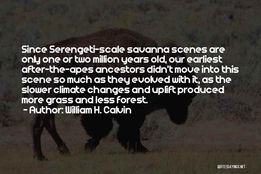 William H. Calvin Quotes: Since Serengeti-scale Savanna Scenes Are Only One Or Two Million Years Old, Our Earliest After-the-apes Ancestors Didn't Move Into This