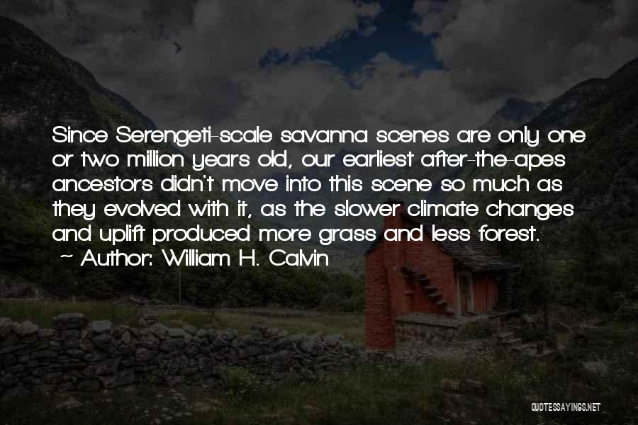 William H. Calvin Quotes: Since Serengeti-scale Savanna Scenes Are Only One Or Two Million Years Old, Our Earliest After-the-apes Ancestors Didn't Move Into This