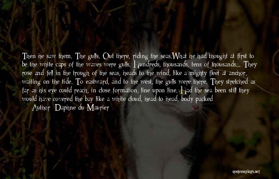 Daphne Du Maurier Quotes: Then He Saw Them. The Gulls. Out There, Riding The Seas.what He Had Thought At First To Be The White