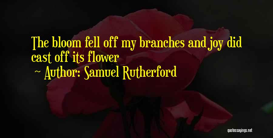 Samuel Rutherford Quotes: The Bloom Fell Off My Branches And Joy Did Cast Off Its Flower