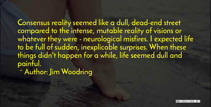Jim Woodring Quotes: Consensus Reality Seemed Like A Dull, Dead-end Street Compared To The Intense, Mutable Reality Of Visions Or Whatever They Were
