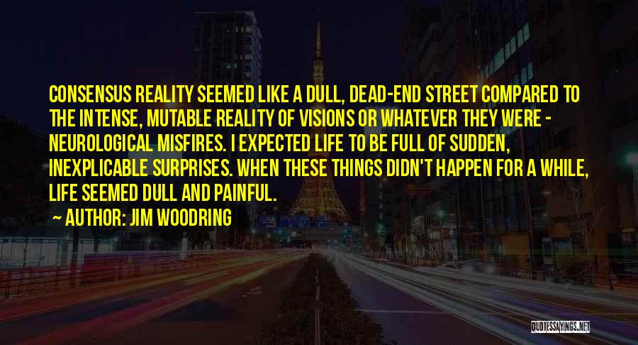 Jim Woodring Quotes: Consensus Reality Seemed Like A Dull, Dead-end Street Compared To The Intense, Mutable Reality Of Visions Or Whatever They Were