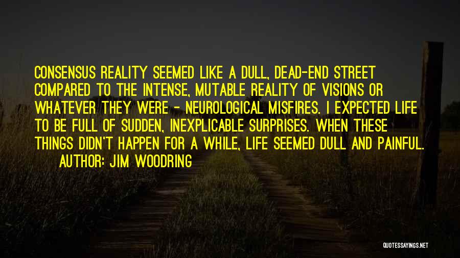 Jim Woodring Quotes: Consensus Reality Seemed Like A Dull, Dead-end Street Compared To The Intense, Mutable Reality Of Visions Or Whatever They Were