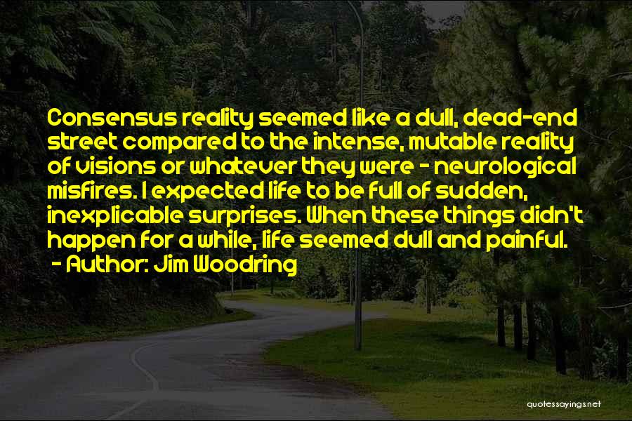 Jim Woodring Quotes: Consensus Reality Seemed Like A Dull, Dead-end Street Compared To The Intense, Mutable Reality Of Visions Or Whatever They Were