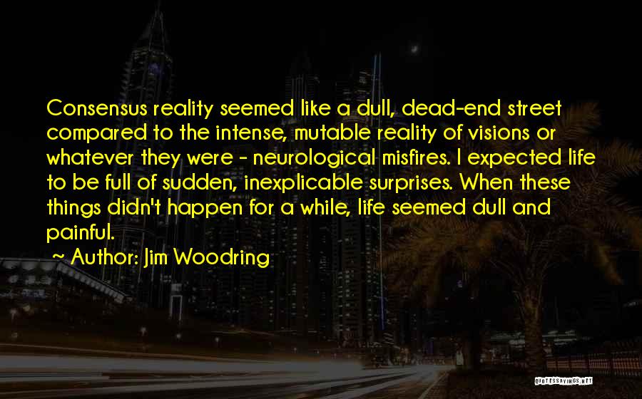 Jim Woodring Quotes: Consensus Reality Seemed Like A Dull, Dead-end Street Compared To The Intense, Mutable Reality Of Visions Or Whatever They Were