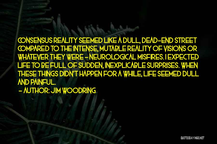 Jim Woodring Quotes: Consensus Reality Seemed Like A Dull, Dead-end Street Compared To The Intense, Mutable Reality Of Visions Or Whatever They Were