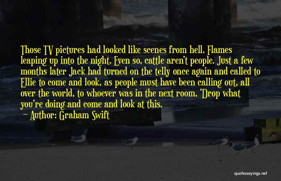 Graham Swift Quotes: Those Tv Pictures Had Looked Like Scenes From Hell. Flames Leaping Up Into The Night. Even So, Cattle Aren't People.