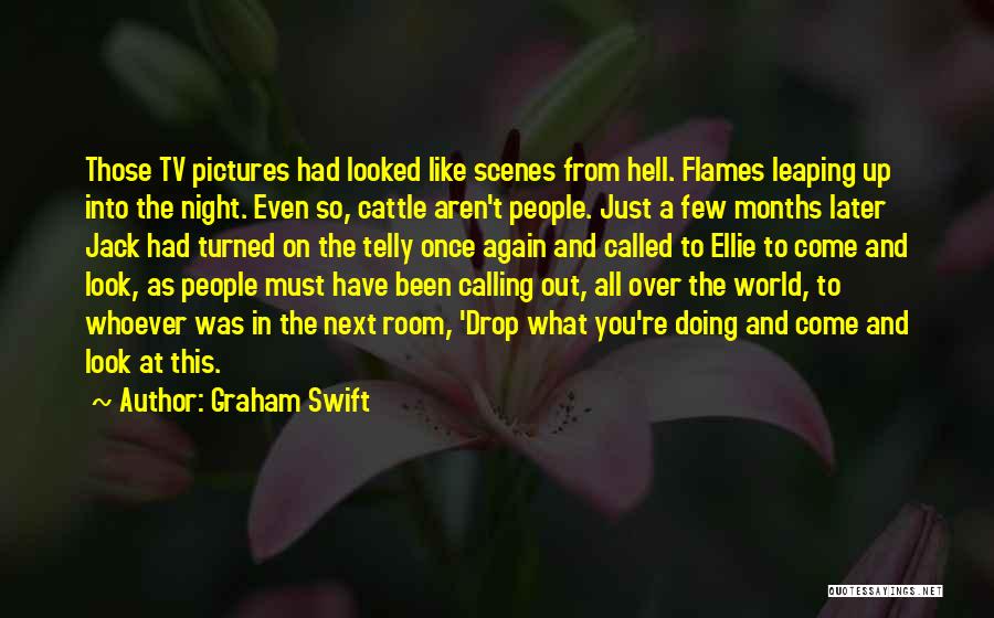 Graham Swift Quotes: Those Tv Pictures Had Looked Like Scenes From Hell. Flames Leaping Up Into The Night. Even So, Cattle Aren't People.