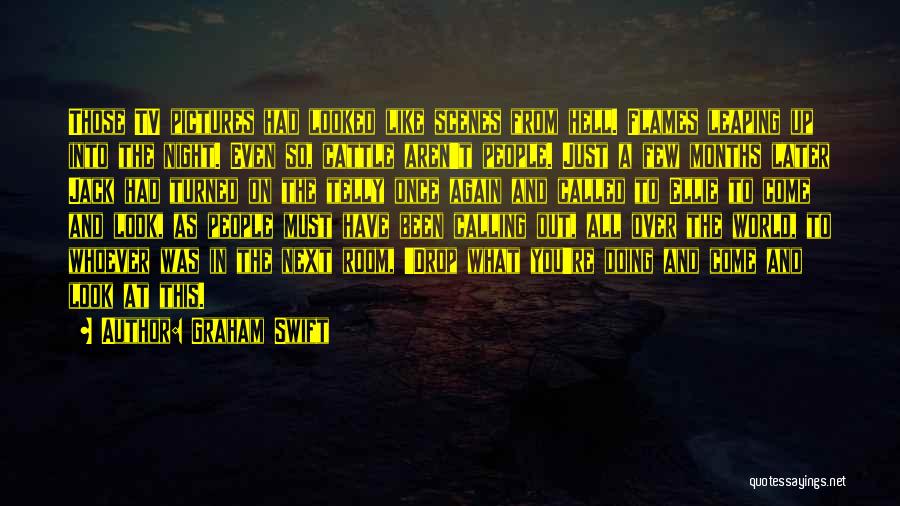 Graham Swift Quotes: Those Tv Pictures Had Looked Like Scenes From Hell. Flames Leaping Up Into The Night. Even So, Cattle Aren't People.