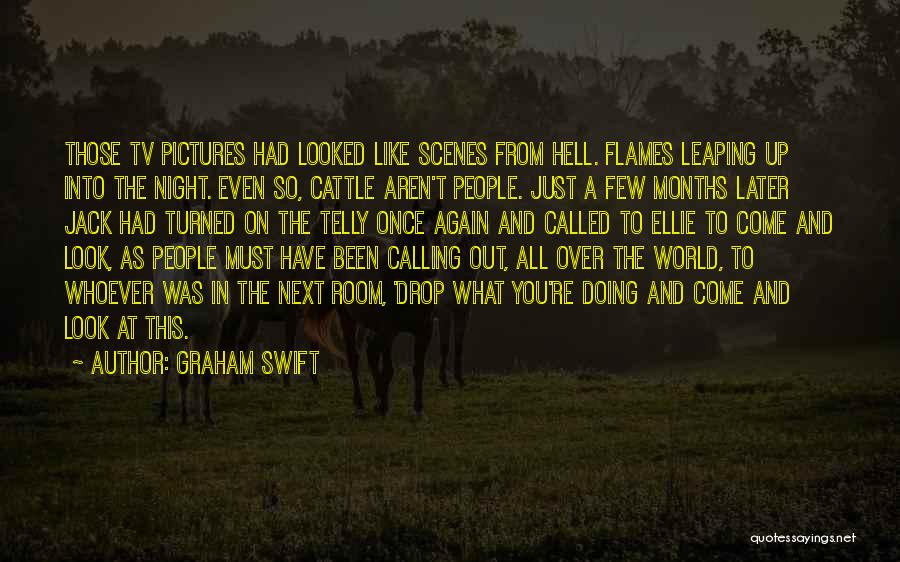 Graham Swift Quotes: Those Tv Pictures Had Looked Like Scenes From Hell. Flames Leaping Up Into The Night. Even So, Cattle Aren't People.