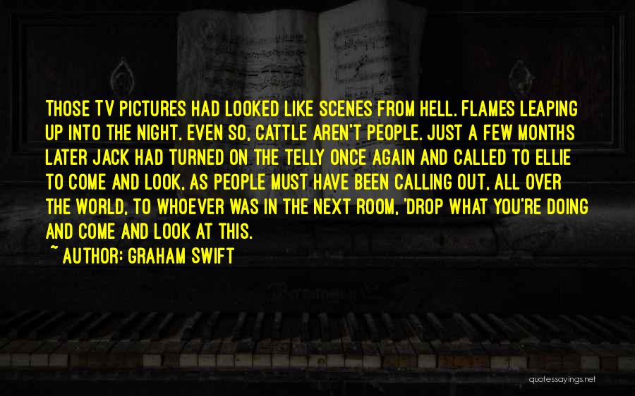 Graham Swift Quotes: Those Tv Pictures Had Looked Like Scenes From Hell. Flames Leaping Up Into The Night. Even So, Cattle Aren't People.