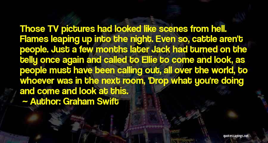 Graham Swift Quotes: Those Tv Pictures Had Looked Like Scenes From Hell. Flames Leaping Up Into The Night. Even So, Cattle Aren't People.