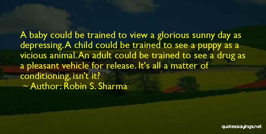 Robin S. Sharma Quotes: A Baby Could Be Trained To View A Glorious Sunny Day As Depressing. A Child Could Be Trained To See