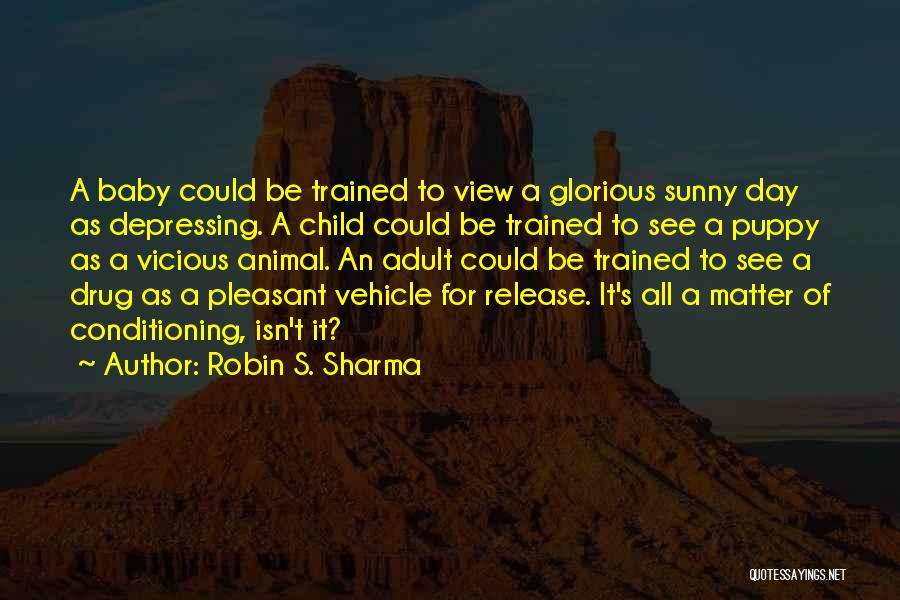 Robin S. Sharma Quotes: A Baby Could Be Trained To View A Glorious Sunny Day As Depressing. A Child Could Be Trained To See