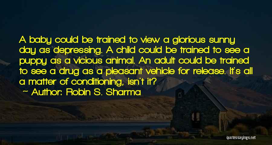 Robin S. Sharma Quotes: A Baby Could Be Trained To View A Glorious Sunny Day As Depressing. A Child Could Be Trained To See