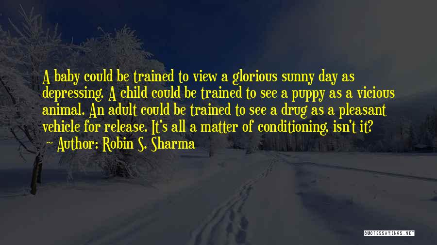 Robin S. Sharma Quotes: A Baby Could Be Trained To View A Glorious Sunny Day As Depressing. A Child Could Be Trained To See