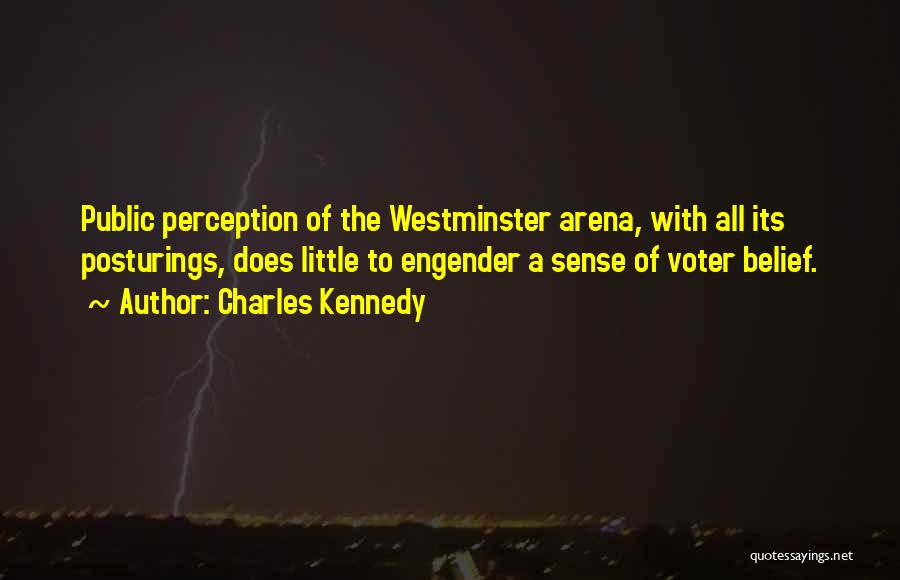 Charles Kennedy Quotes: Public Perception Of The Westminster Arena, With All Its Posturings, Does Little To Engender A Sense Of Voter Belief.