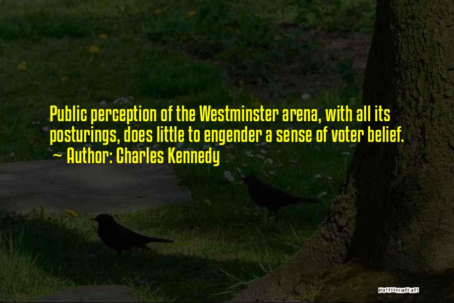 Charles Kennedy Quotes: Public Perception Of The Westminster Arena, With All Its Posturings, Does Little To Engender A Sense Of Voter Belief.