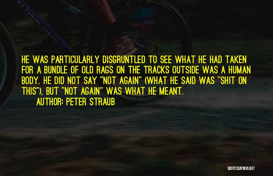 Peter Straub Quotes: He Was Particularly Disgruntled To See What He Had Taken For A Bundle Of Old Rags On The Tracks Outside