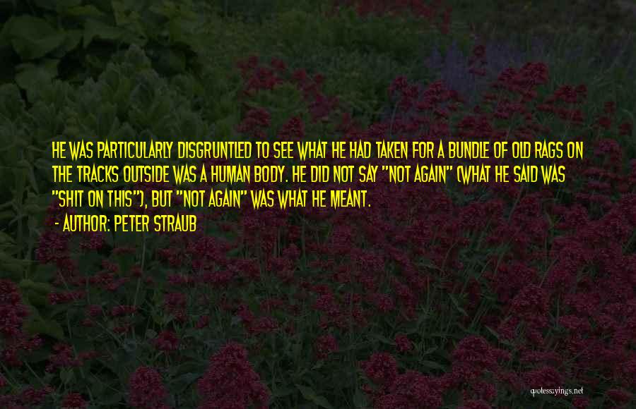 Peter Straub Quotes: He Was Particularly Disgruntled To See What He Had Taken For A Bundle Of Old Rags On The Tracks Outside