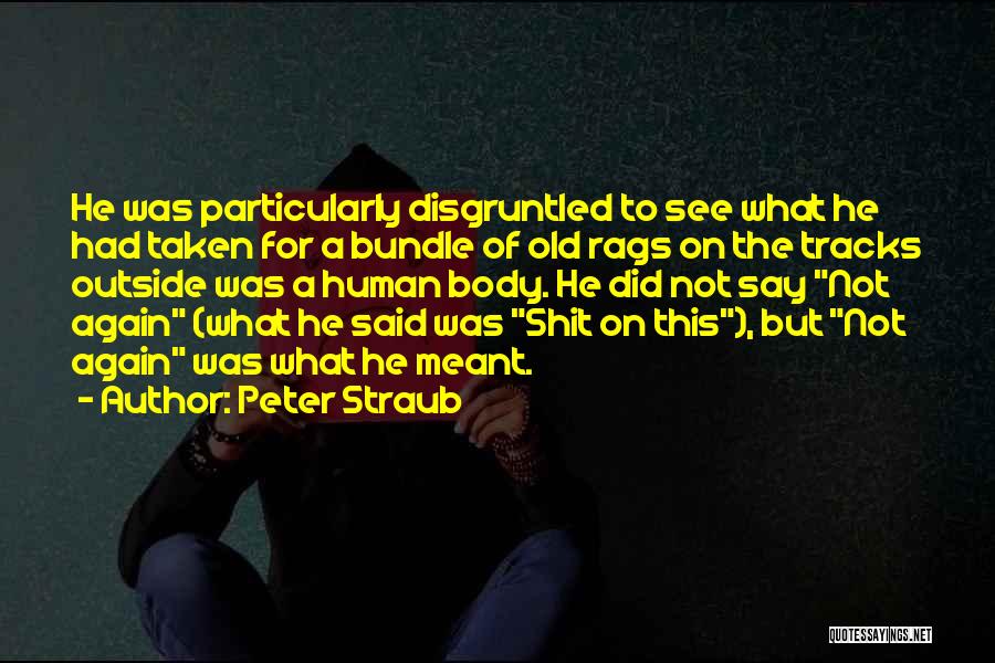 Peter Straub Quotes: He Was Particularly Disgruntled To See What He Had Taken For A Bundle Of Old Rags On The Tracks Outside