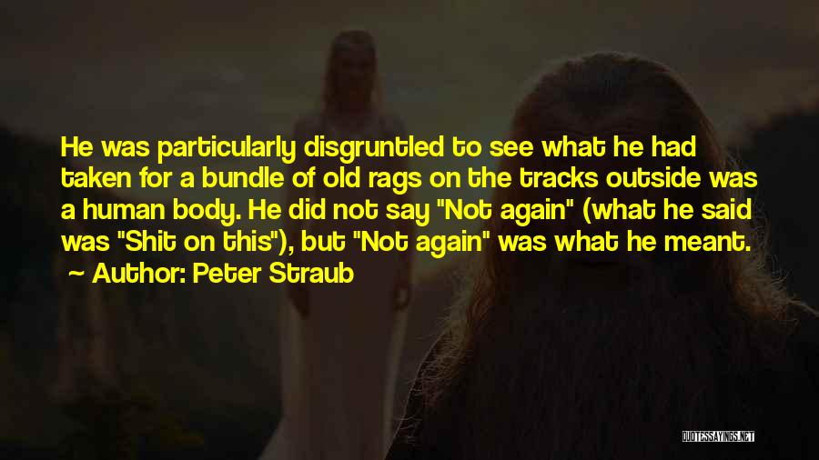 Peter Straub Quotes: He Was Particularly Disgruntled To See What He Had Taken For A Bundle Of Old Rags On The Tracks Outside