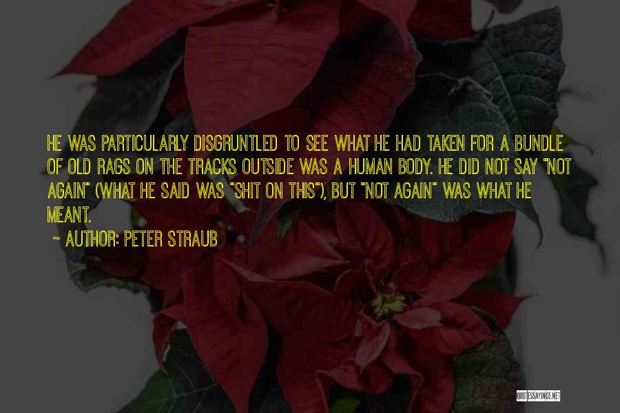 Peter Straub Quotes: He Was Particularly Disgruntled To See What He Had Taken For A Bundle Of Old Rags On The Tracks Outside