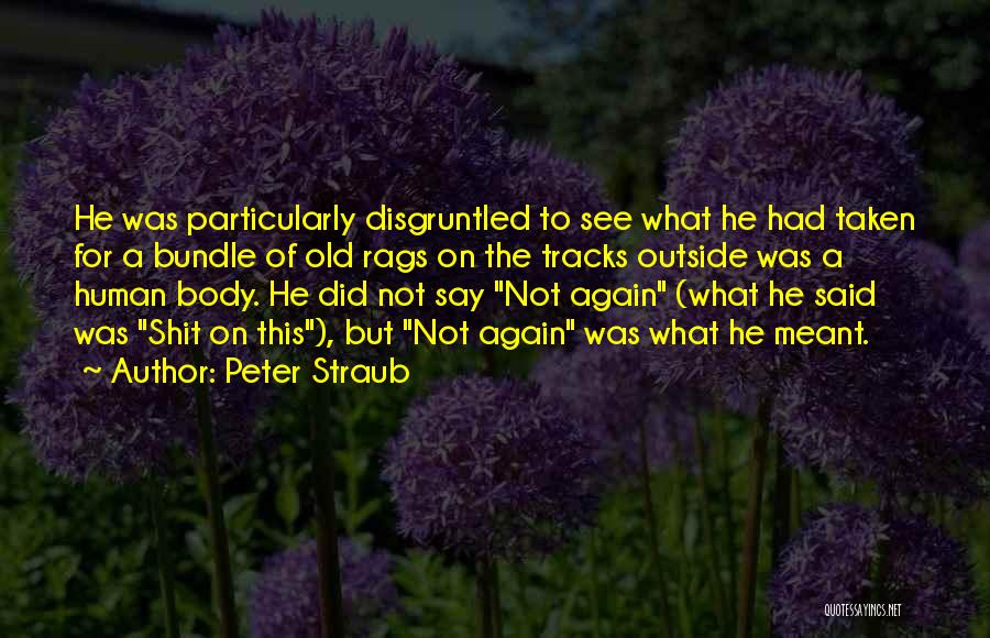 Peter Straub Quotes: He Was Particularly Disgruntled To See What He Had Taken For A Bundle Of Old Rags On The Tracks Outside