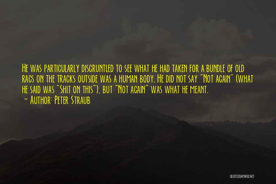 Peter Straub Quotes: He Was Particularly Disgruntled To See What He Had Taken For A Bundle Of Old Rags On The Tracks Outside