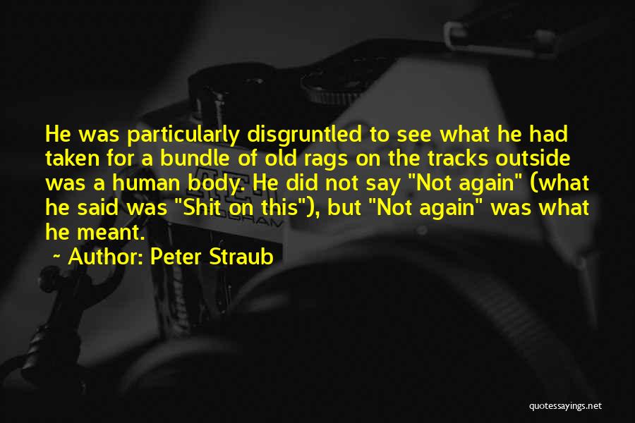 Peter Straub Quotes: He Was Particularly Disgruntled To See What He Had Taken For A Bundle Of Old Rags On The Tracks Outside