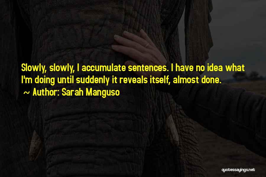 Sarah Manguso Quotes: Slowly, Slowly, I Accumulate Sentences. I Have No Idea What I'm Doing Until Suddenly It Reveals Itself, Almost Done.