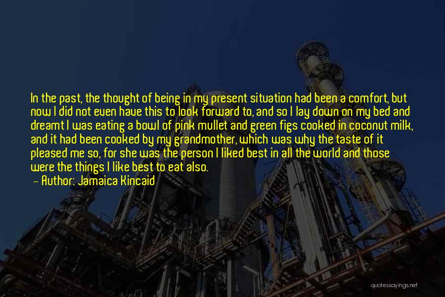 Jamaica Kincaid Quotes: In The Past, The Thought Of Being In My Present Situation Had Been A Comfort, But Now I Did Not