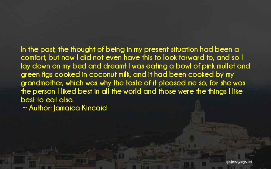 Jamaica Kincaid Quotes: In The Past, The Thought Of Being In My Present Situation Had Been A Comfort, But Now I Did Not