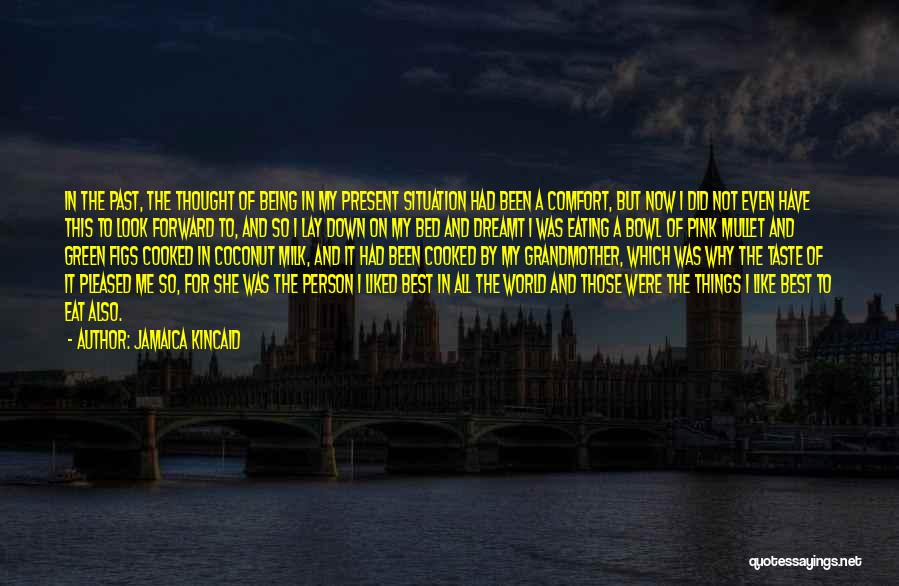 Jamaica Kincaid Quotes: In The Past, The Thought Of Being In My Present Situation Had Been A Comfort, But Now I Did Not