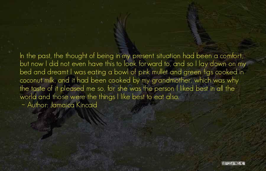 Jamaica Kincaid Quotes: In The Past, The Thought Of Being In My Present Situation Had Been A Comfort, But Now I Did Not