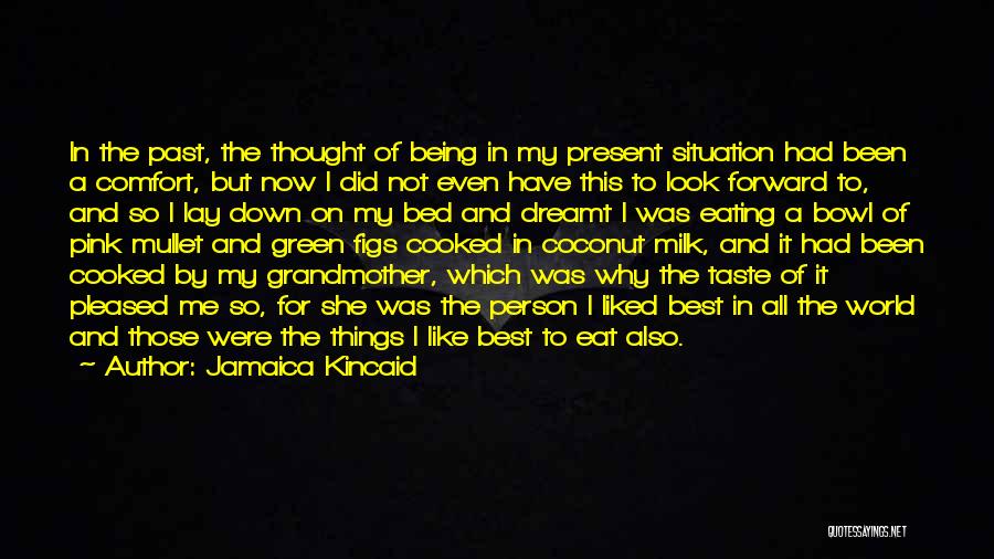 Jamaica Kincaid Quotes: In The Past, The Thought Of Being In My Present Situation Had Been A Comfort, But Now I Did Not