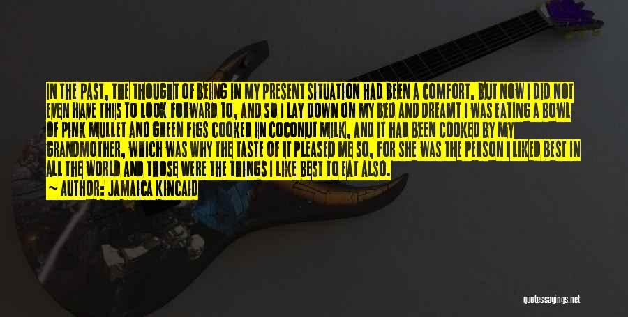 Jamaica Kincaid Quotes: In The Past, The Thought Of Being In My Present Situation Had Been A Comfort, But Now I Did Not